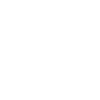 Ninja icon